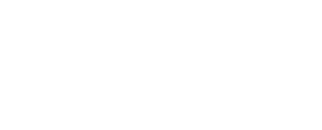 Aqua Kings logo
